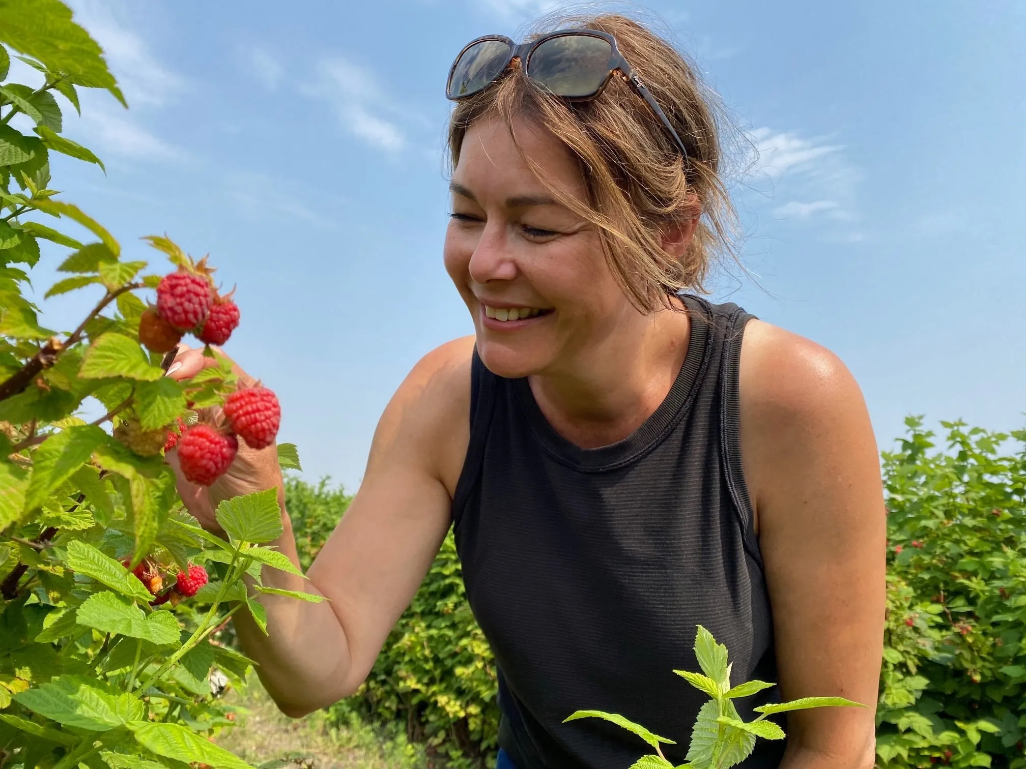 Terri's fruit pizza recipe